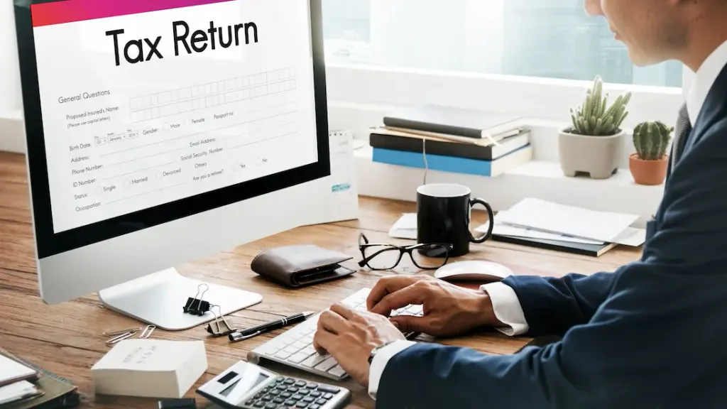 Professional Tax Services Bangladesh for businesses and individuals.